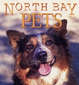 North Bay Pets magazing